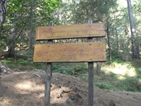 ppinazzu-20110828 004